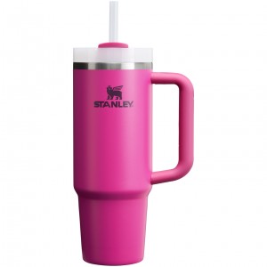 Stanley Quencher H2.0 Travel Tumbler | 30 OZ Fuchsia | VZQ198563