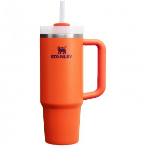 Stanley Quencher H2.0 Travel Tumbler | 30 OZ Tigerlily Plum | RXZ317089