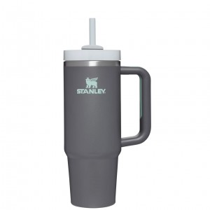 Stanley Quencher H2.0 Travel Tumbler | 30 OZ Charcoal | UVT147806