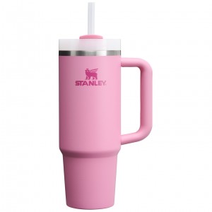 Stanley Quencher H2.0 Travel Tumbler | 30 OZ Peony | SJN145972