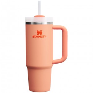 Stanley Quencher H2.0 Travel Tumbler | 30 OZ Nectarine | RXO198702