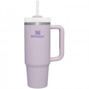 Stanley Quencher H2.0 Travel Tumbler | Soft Matte | 30 OZ Orchid | ZKM479083