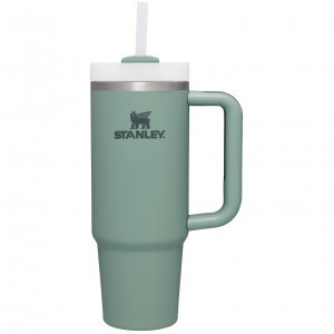 Stanley Quencher H2.0 Travel Tumbler | Soft Matte | 30 OZ Shale | RWZ087196