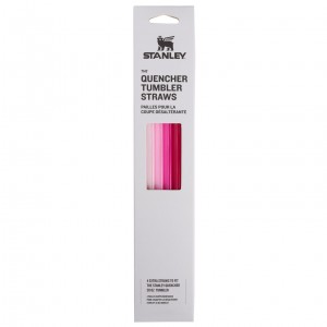 Stanley Replacement Straw 4 Pack | 30 oz Quencher Tumbler Pink | OMT543186