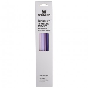 Stanley Replacement Straw 4 Pack | 30 oz Quencher Tumbler Purple | HYG073698