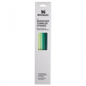 Stanley Replacement Straw 4 Pack | 40 OZ Quencher Tumbler Green | LIY387142