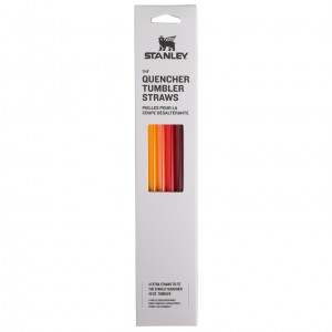 Stanley Replacement Straw 4 Pack | 40 OZ Quencher Tumbler Red/Orange Multi Pack | KXE083127