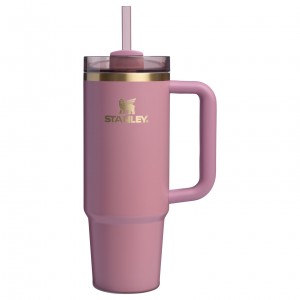 Stanley The Fall Refresh Quencher H2.O FlowState™ Tumbler I 30 OZ Antique Pink | TJV748532