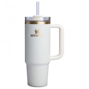 Stanley The Fall Refresh Quencher H2.O FlowState™ Tumbler I 30 OZ - Stanley Cr Cream Moon | APN859401