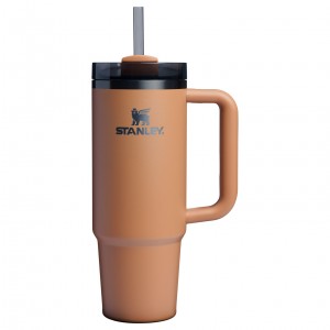 Stanley The Fall Refresh Quencher H2.O FlowState™ Tumbler I 30 OZ Camel | DRM924035