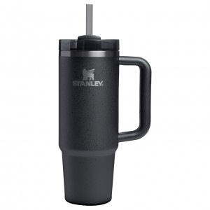 Stanley The Fall Refresh Quencher H2.O FlowState™ Tumbler I 30 OZ - Stanley Cr Shadow Moon | OUJ917604