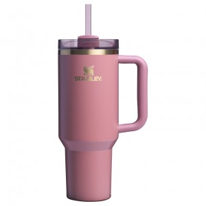 Stanley The Fall Refresh Quencher H2.O FlowState™ Tumbler I 40 OZ - Stanley Cr Antique Pink | QGR928360