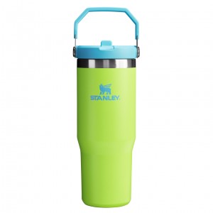 Stanley The Heat Wave IceFlow™ Flip Straw Tumbler | 30 OZ Bright Lime | WEQ150768