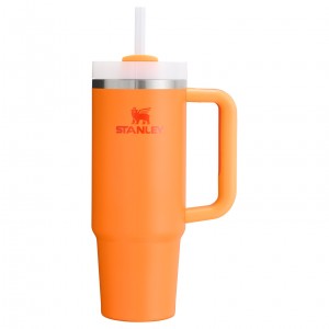 Stanley The Heat Wave Quencher H2.O FlowState™ Tumbler | 30 OZ Goldenrod | MNO305491