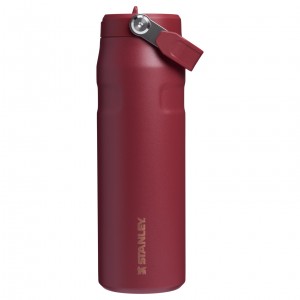 Stanley The Holiday IceFlow Water Bottle with Flip Straw Lid | 24 OZ Gilded Pomegranate | XMB319265