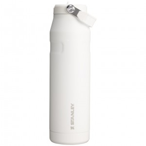 Stanley The IceFlow™ Bottle with Flip Straw Lid | 36 oz Frost | ROV176042