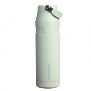 Stanley The IceFlow™ Bottle with Flip Straw Lid | 36 oz Mist | WCS498312