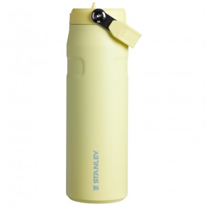 Stanley The IceFlow™ Bottle with Flip Straw Lid | 24 OZ Pomelo | SFL876340