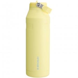 Stanley The IceFlow™ Bottle with Flip Straw Lid | 50 oz Pomelo | XRZ260837