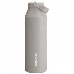 Stanley The IceFlow™ Bottle with Flip Straw Lid | 50 oz Ash | ZQD631479