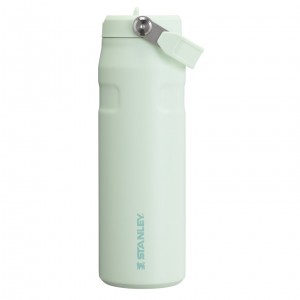 Stanley The IceFlow™ Bottle with Flip Straw Lid | 24 oz - Stanley Create Mist | SOT850746