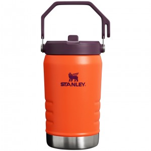 Stanley The IceFlow Flip Straw Jug | 40 OZ | Insulated Water Jug Tigerlily Plum | QPN536124