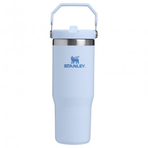 Stanley The IceFlow Flip Straw Tumbler | 30 OZ | Insulated Water Glacier | UXT160928