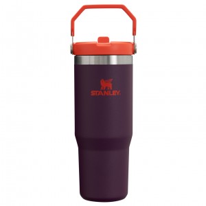 Stanley The IceFlow Flip Straw Tumbler | 30 OZ | Insulated Water Plum | MHB406937