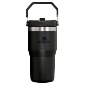 Stanley The IceFlow Flip Straw Tumbler | 20 OZ | Insulated Water Bottle Black 2.0 | DAQ810596