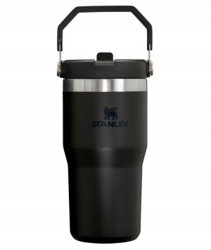 Stanley The IceFlow Flip Straw Tumbler | 20 OZ | Insulated Water Tumbler | Sta Black 2.0 | ZBX582316