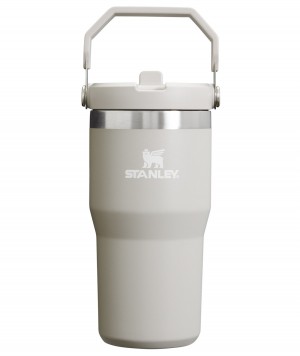 Stanley The IceFlow Flip Straw Tumbler | 20 OZ | Insulated Water Tumbler | Sta Ash | TGO298461