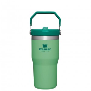 Stanley The IceFlow Flip Straw Tumbler | 20 OZ | Insulated Water Bottle Jade | DIS327096