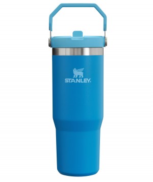 Stanley The IceFlow Flip Straw Tumbler | 30 OZ | Insulated Water Azure | DQF845320