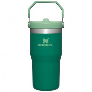 Stanley The IceFlow Flip Straw Tumbler | 20 OZ | Insulated Water Bottle Alpine | MOH432957