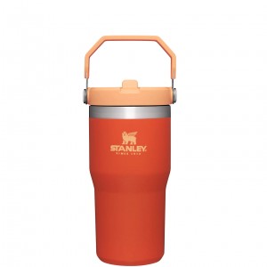 Stanley The IceFlow Flip Straw Tumbler | 20 OZ | Insulated Water Bottle Tigerlily | FRQ169038