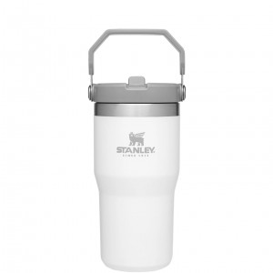 Stanley The IceFlow Flip Straw Tumbler | 20 OZ | Insulated Water Bottle Polar | XZJ426973