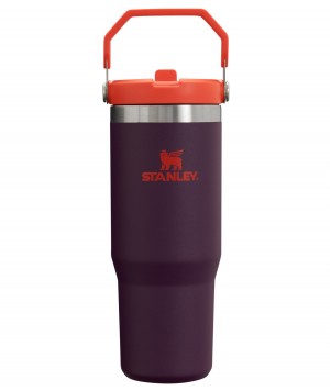 Stanley The IceFlow Flip Straw Tumbler | 30 OZ | Insulated Water Plum | QSD714208