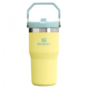 Stanley The IceFlow Flip Straw Tumbler | 20 OZ | Insulated Water Bottle Pomelo | MPV519324