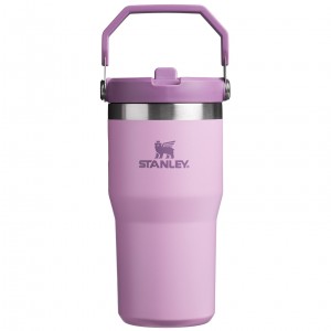 Stanley The IceFlow Flip Straw Tumbler | 20 OZ | Insulated Water Tumbler | Sta Lilac | FOU540136