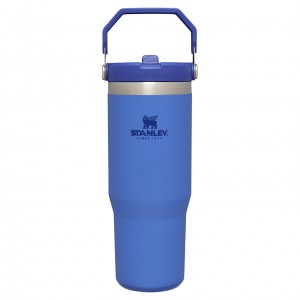 Stanley The IceFlow Flip Straw Tumbler | 30 OZ | Insulated Water Iris | OLM846902