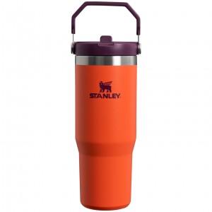 Stanley The IceFlow Flip Straw Tumbler | 30 OZ | Insulated Water Tigerlily Plum | HMW417806