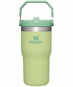 Stanley The IceFlow Flip Straw Tumbler | 20 OZ | Insulated Water Tumbler | Sta Citron | GPR047152