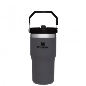 Stanley The IceFlow Flip Straw Tumbler | 20 OZ | Insulated Water Bottle Charcoal | VCG176582