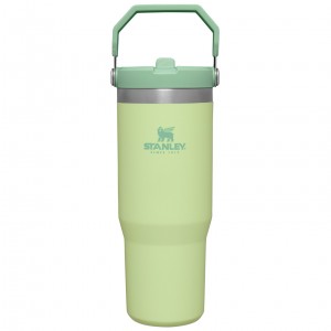 Stanley The IceFlow Flip Straw Tumbler | 30 OZ | Insulated Water Citron | AHM286534