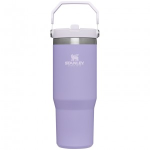 Stanley The IceFlow Flip Straw Tumbler | 30 OZ | Insulated Water Lavender | QSP095172