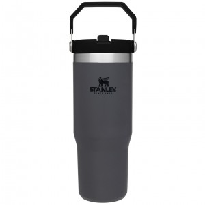 Stanley The IceFlow Flip Straw Tumbler | 30 OZ | Insulated Water Charcoal | ZRX687451