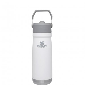 Stanley The IceFlow Flip Straw Water Bottle | 22 OZ | Insulated Bottle | Stanl Polar | OPX064127