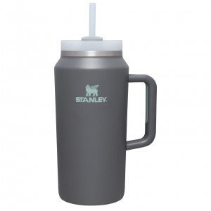 Stanley The Quencher H2.0 FlowState™ Tumbler | 64 OZ Charcoal | NAE768235