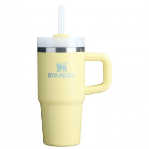 Stanley The Quencher H2.O FlowState™ Tumbler with Handle & Straw | 14 OZ Pomelo | YGQ801756