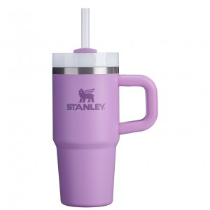 Stanley The Quencher H2.O FlowState™ Tumbler with Handle & Straw | 14 OZ Lilac | WRI504193